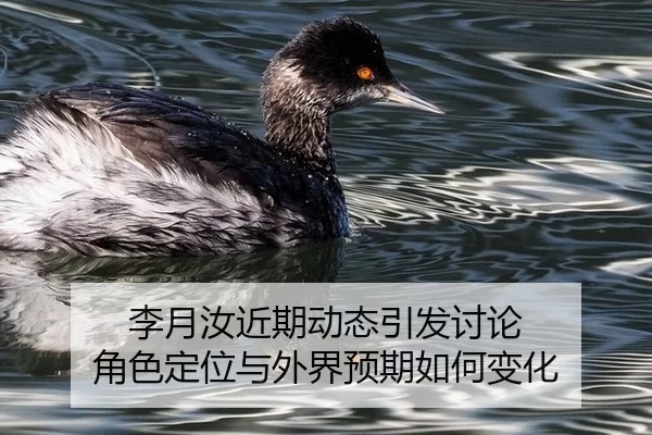 李月汝近期动态引发讨论 角色定位与外界预期如何变化